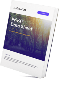 New_datasheet_PrivX