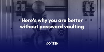 password-vaulting-01