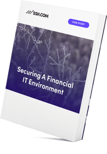 mockup Financial IT case study