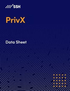 privx-it-datasheet